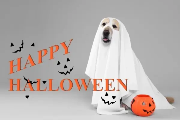 Happy Halloween from LOCAL MORTGAGE PARTNERS